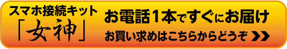 お買い求めはこちらから